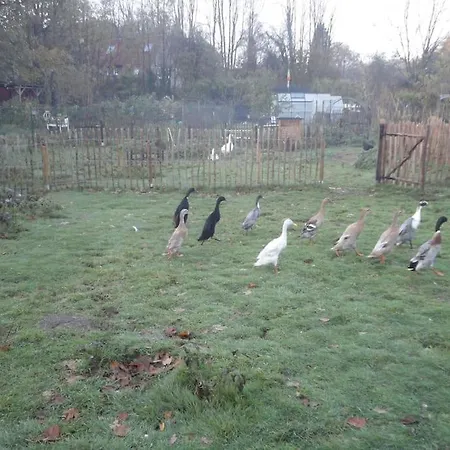 Piraten-nest Дом отдыха Шортенс